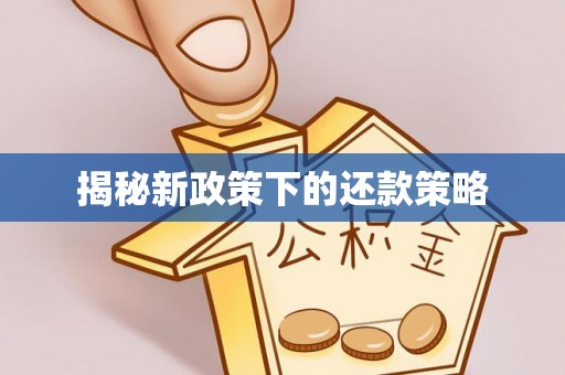 信赖揭秘新政策下的还款策略