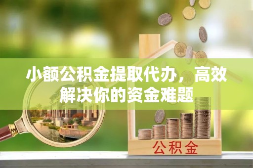 信赖小额公积金提取代办，高效解决你的资金难题