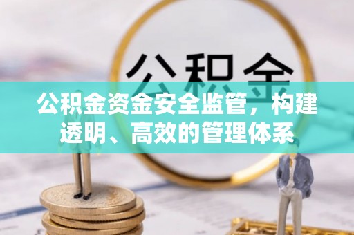 信赖公积金资金安全监管，构建透明、高效的管理体系