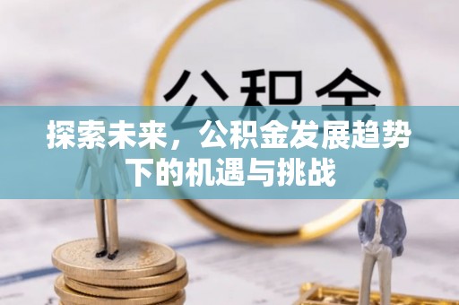 信赖探索未来，公积金发展趋势下的机遇与挑战