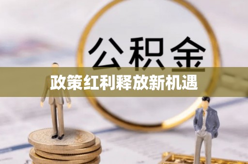 信赖政策红利释放新机遇
