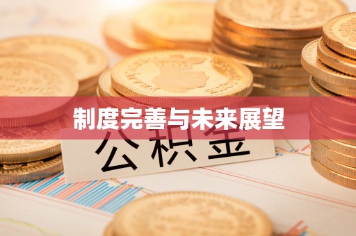 信赖制度完善与未来展望