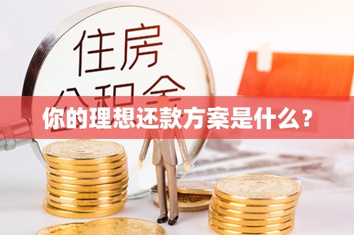 信赖你的理想还款方案是什么？