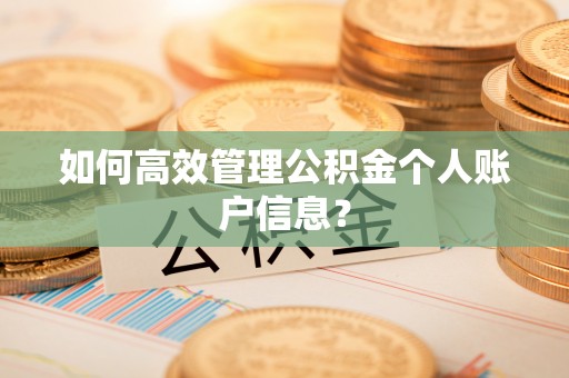 信赖如何高效管理公积金个人账户信息？