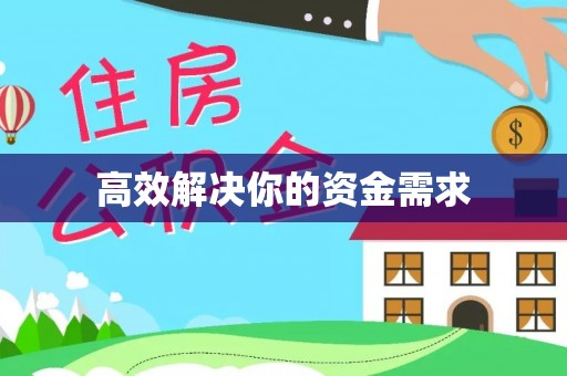 信赖高效解决你的资金需求