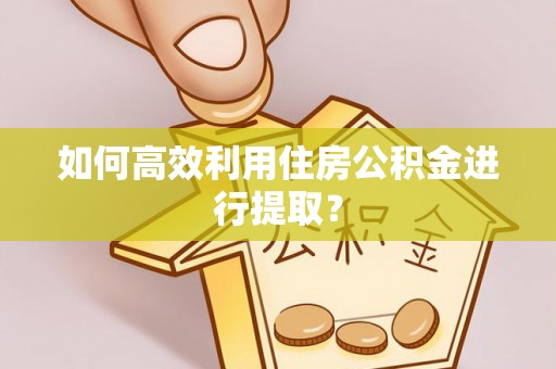 信赖如何高效利用住房公积金进行提取？