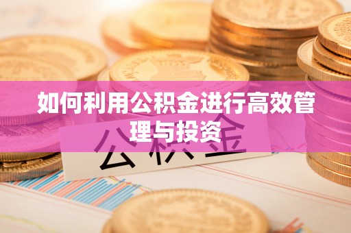 信赖如何利用公积金进行高效管理与投资