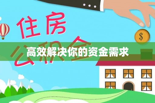 信赖高效解决你的资金需求