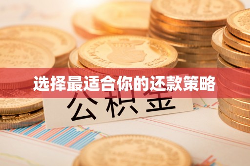 信赖选择最适合你的还款策略