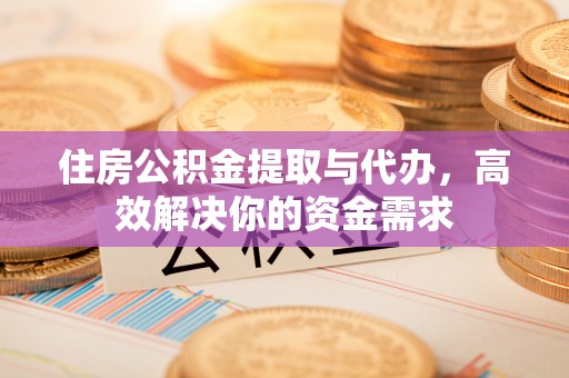 信赖住房公积金提取与代办，高效解决你的资金需求